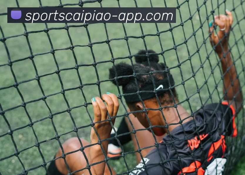 大发彩票APP 体育赛事宣传图