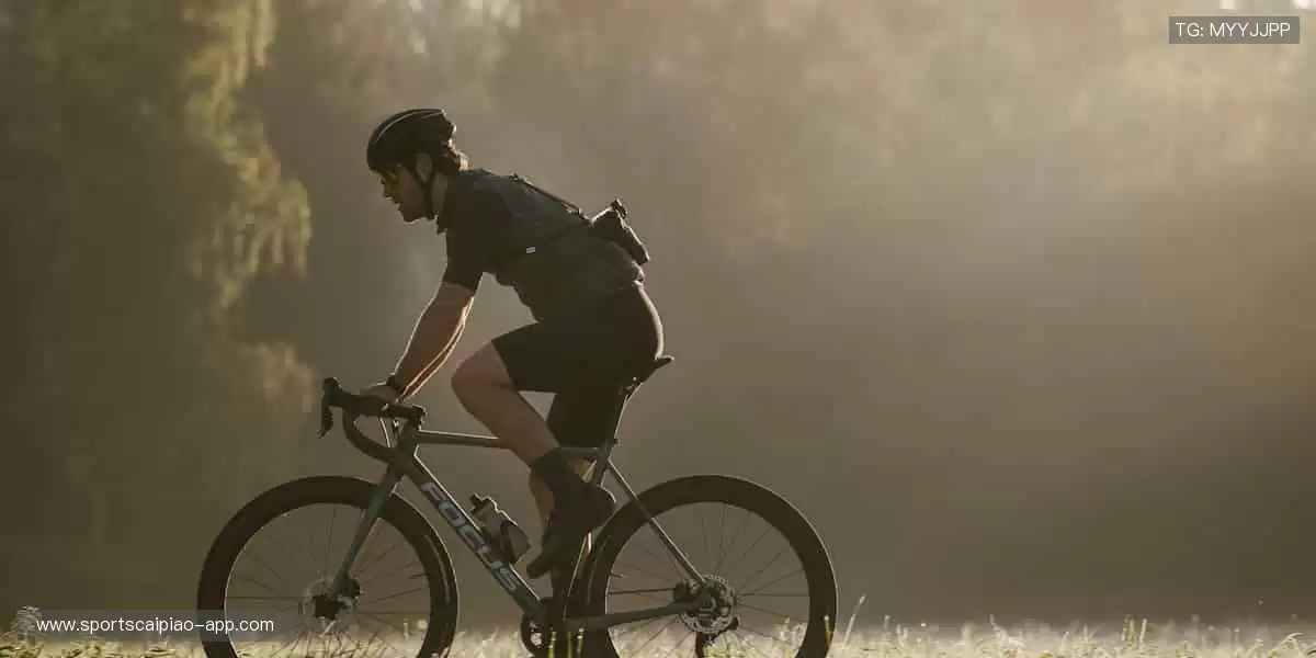 🚀 突破极限，超越自我，官网与你共赴体育新征程！